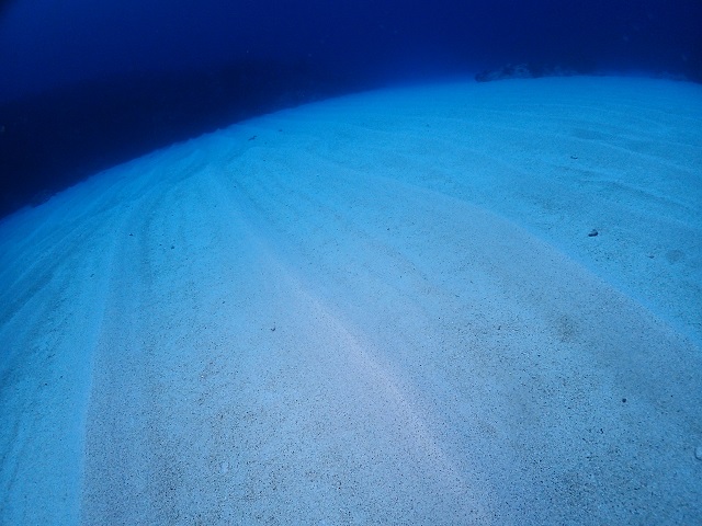 沖縄白い砂ダイビング
