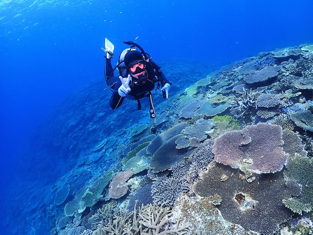 珊瑚礁ダイビング沖縄
