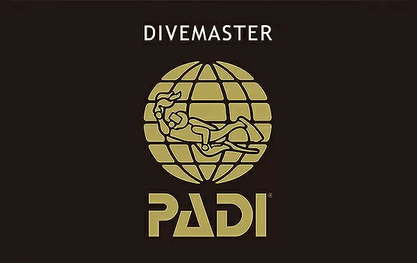 ダイブマスター