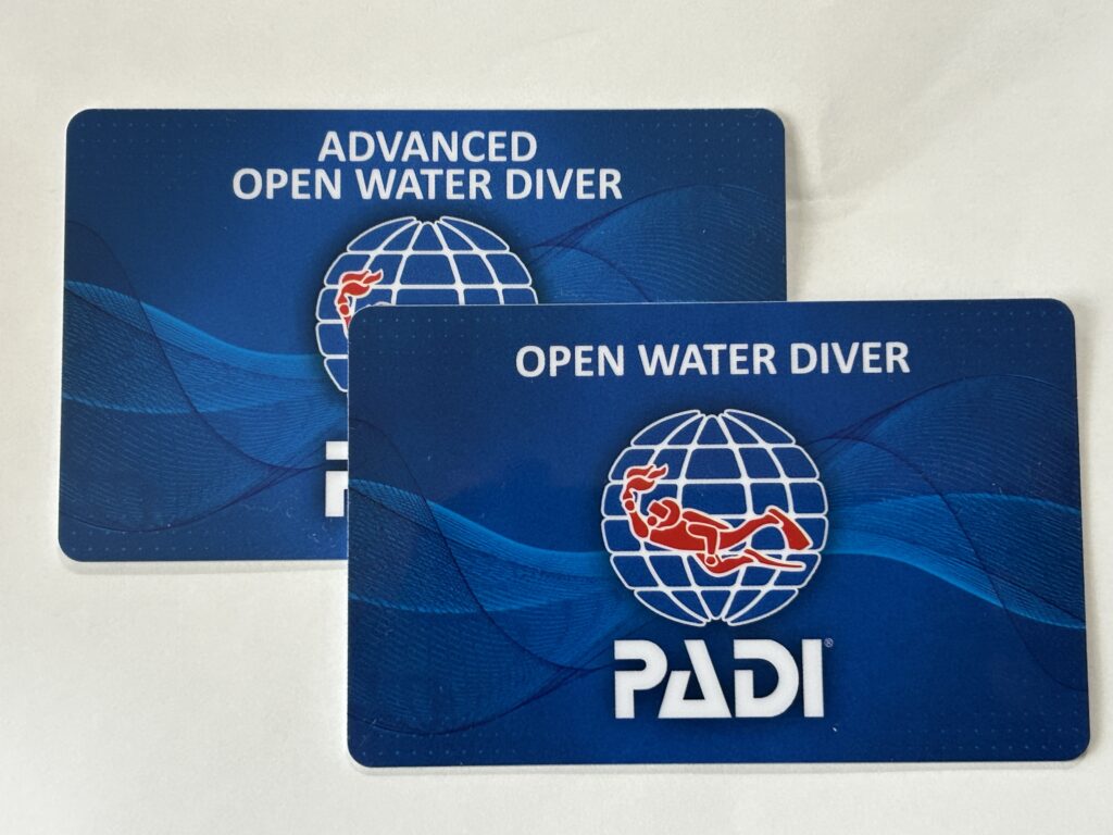 オープン＋アドバンス