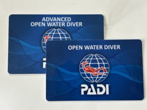 オープン＋アドバンス