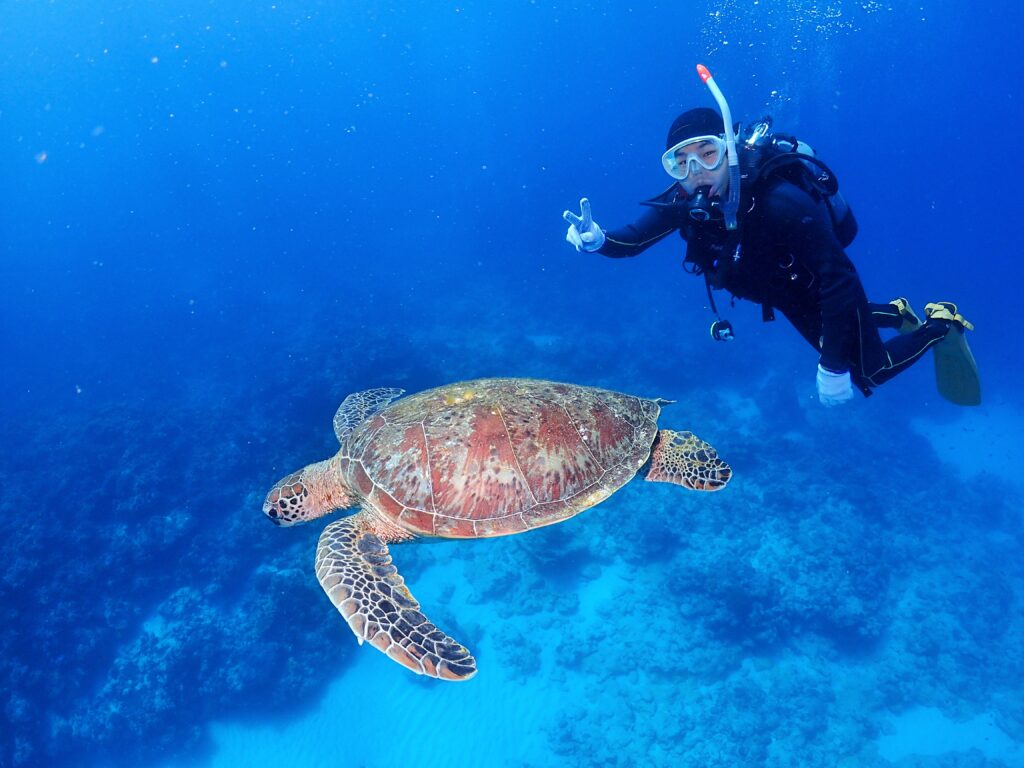付添いダイビング