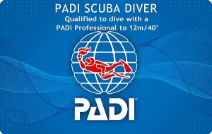 PADIスクーバダイバー