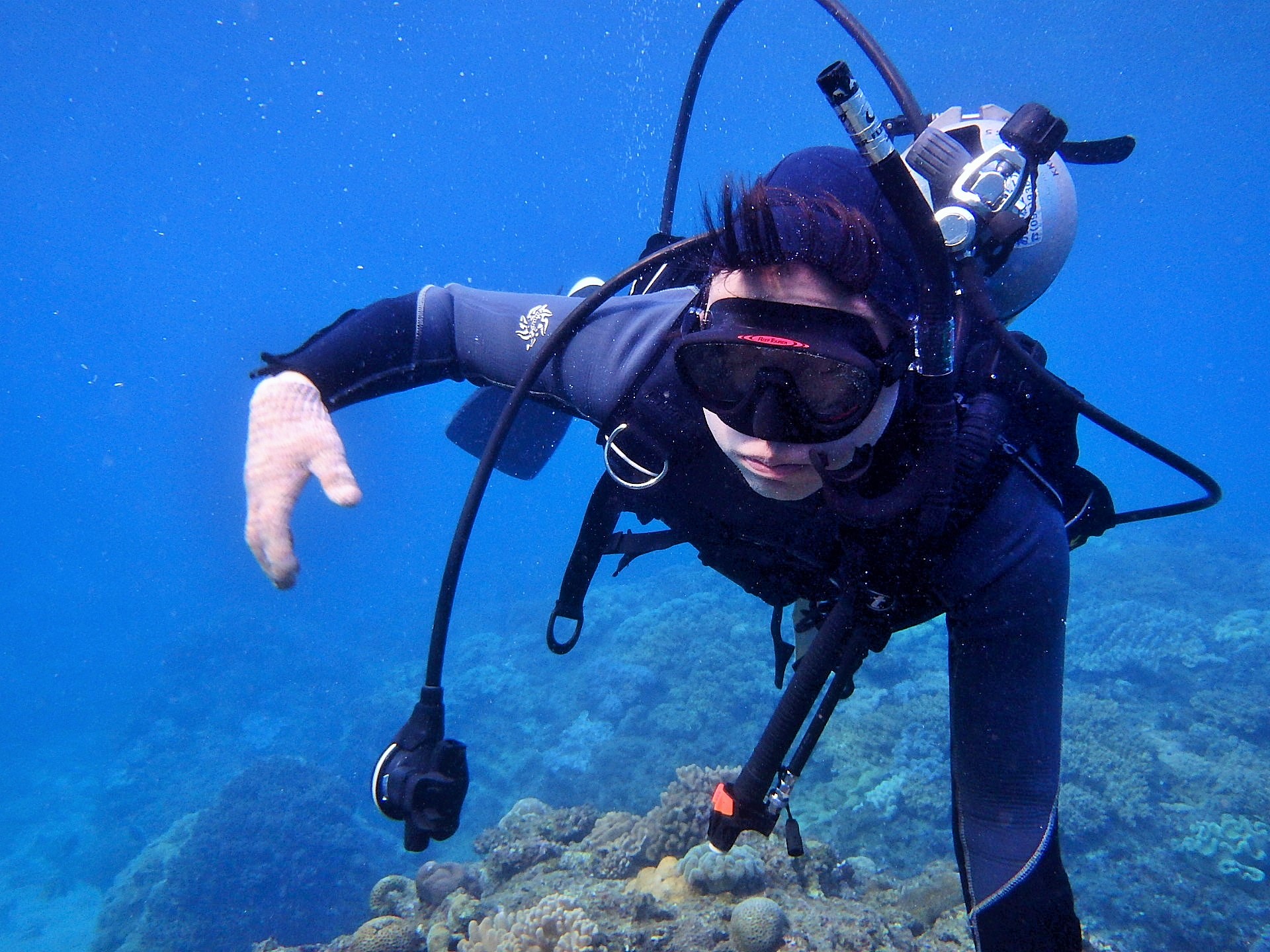 レギュレターリカバリーとクリア