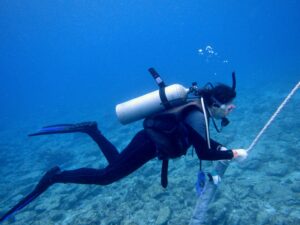 ロープを使って安全に潜降・浮上