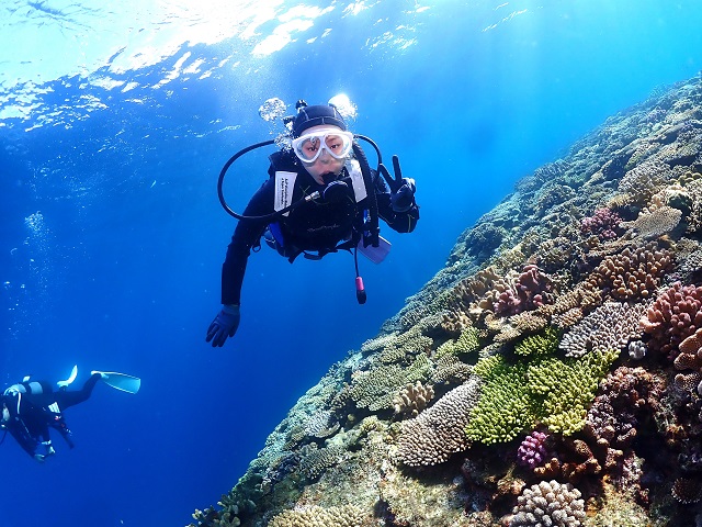 チービシダイビング