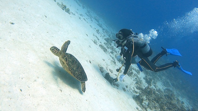 慶良間ファンダイビング