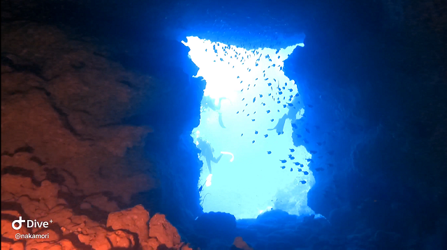 万座ダイビング