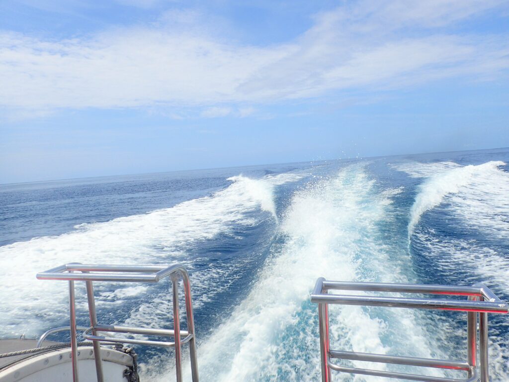 沖縄PADIダイビングライセンス