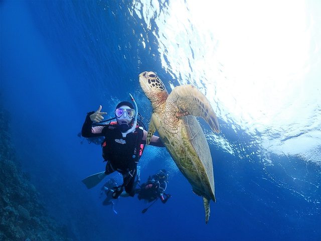 ウミガメと一緒に記念撮影します沖縄ダイビング