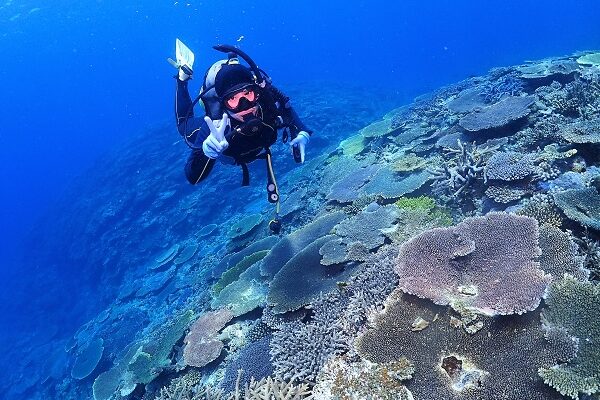 万座　ダイビング　送迎付き